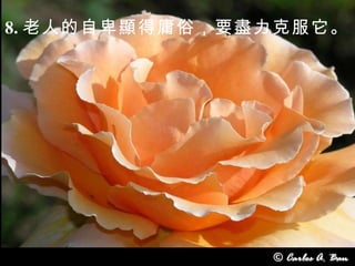 8. 老人的自卑顯得庸俗，要盡力克服它。 