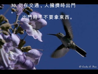 30. 勿在交通 ,  人擁擠時出門。 出門時手不要拿東西。 