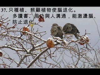 37. 只種植、照顧植物使腦退化。 多讀書、用功與人溝通，能激盪腦、 防止退化。 