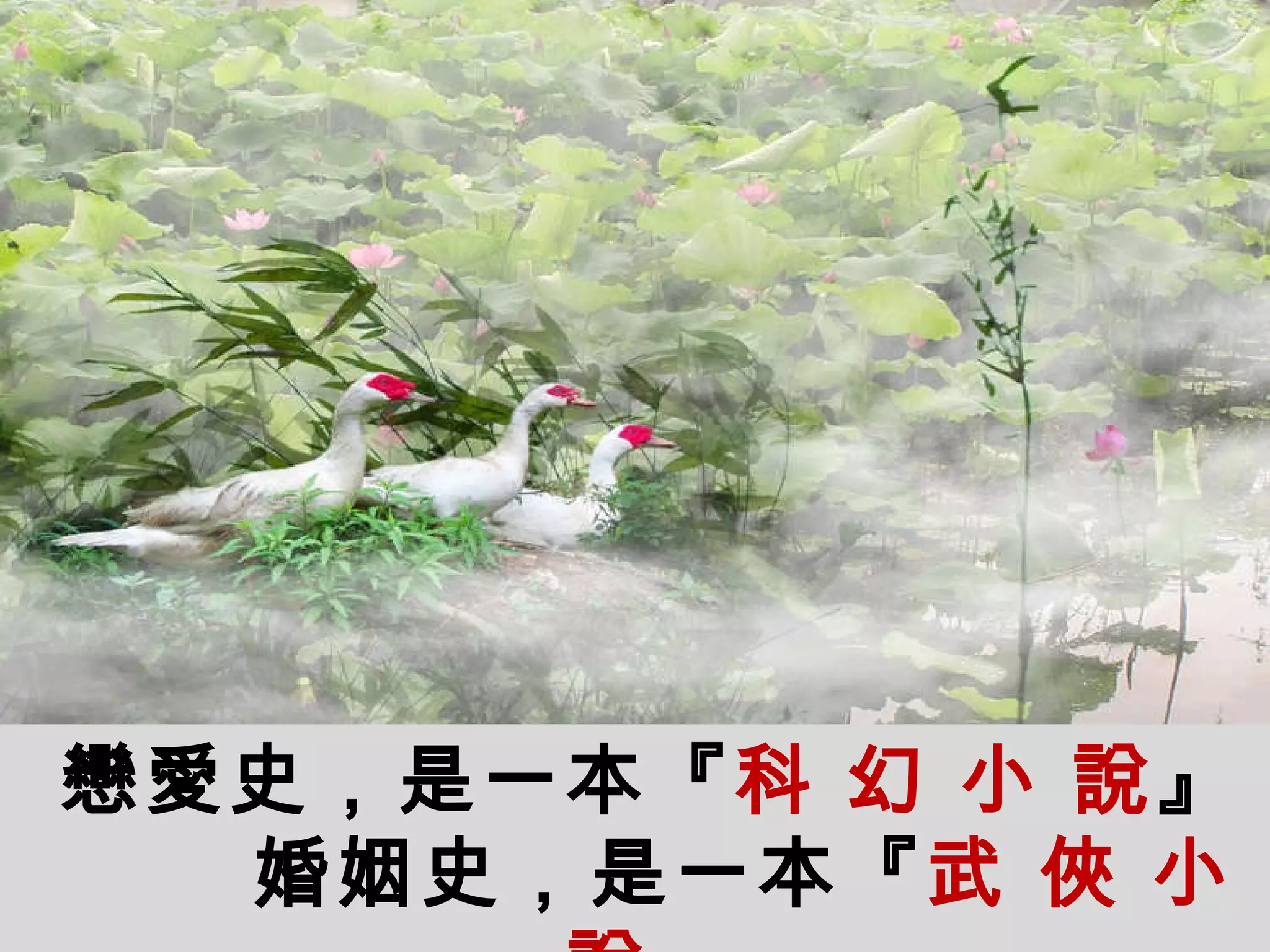 戀愛史，是一本『 科   幻   小   說 』 婚姻史，是一本『 武   俠   小   說 』 