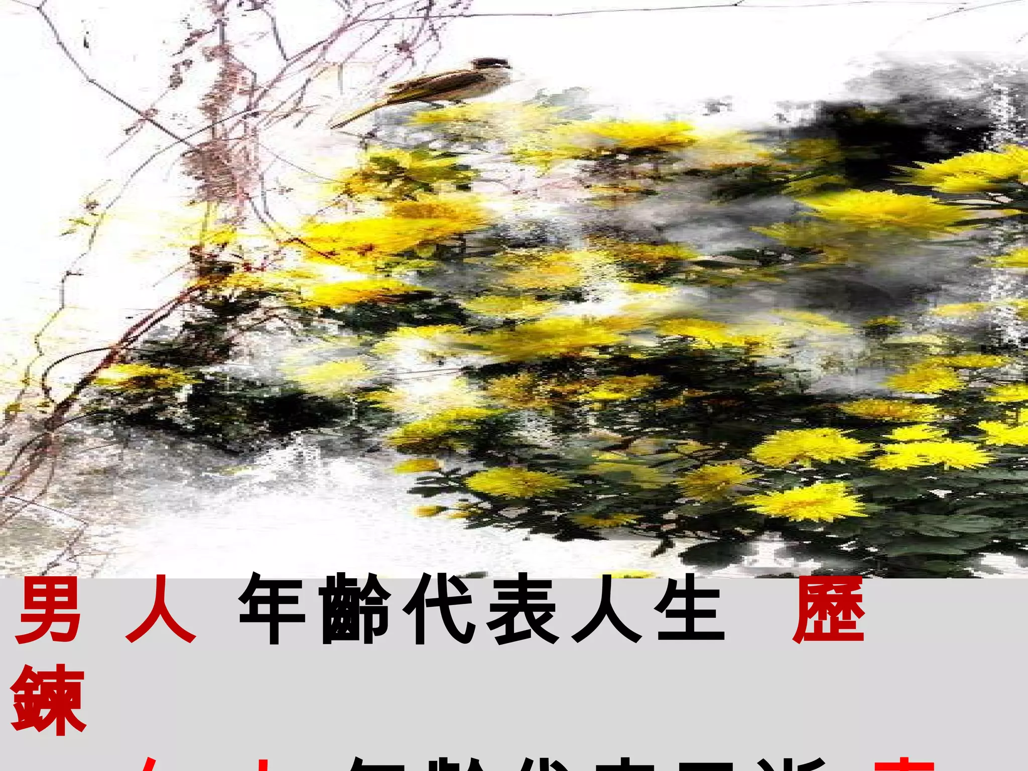 男   人   年齡代表人生   歷   鍊 女   人   年齡代表已逝   青   春   