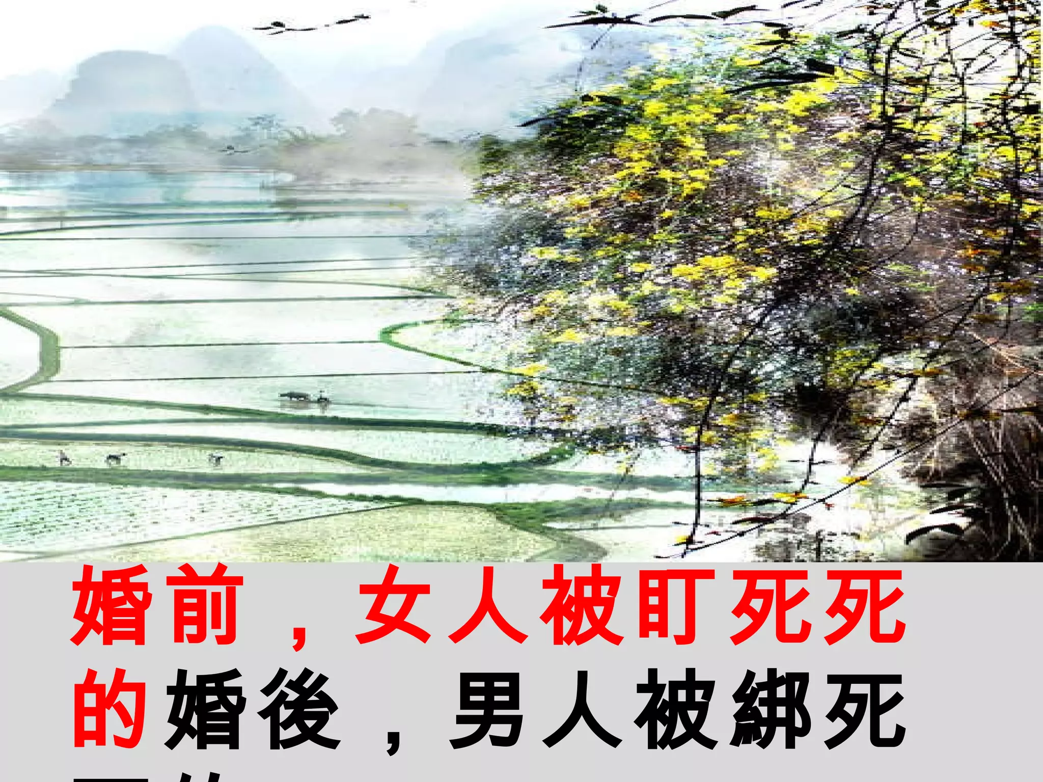 婚前，女人被盯死死的 婚後，男人被綁死死的   