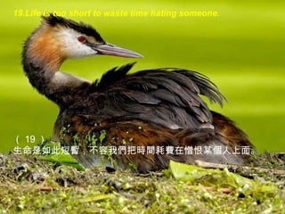 19. Life is too short to waste time hating someone. （ 19 ） 生命是如此短暫，不容我們把時間耗費在憎恨某個人上面。 