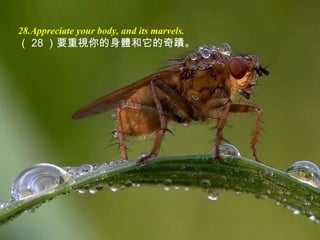 28. Appreciate your body, and its marvels . （ 28 ） 要重視你的身體和它的奇蹟。 