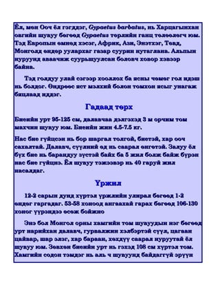 байгалийн | PDF