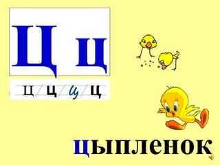 Ц ц ц ыпленок 