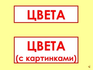 ЦВЕТА ЦВЕТА (с картинками) 