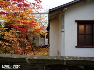 September, 12th, 2011
At	
 