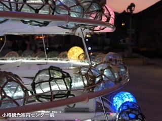 北海道大学
hokkaido university
 