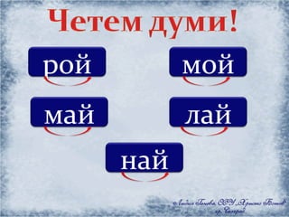 рой мой май лай най 