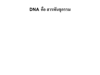DNA   คือ สารพันธุกรรม
 