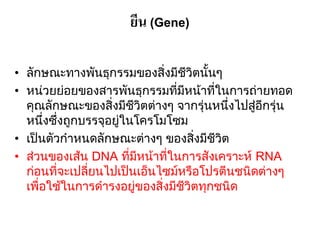 ยีน (Gene)

• ลักษณะทางพันธุกรรมของสิ่งมีชีวิตนั้นๆ
• หน่วยย่อยของสารพันธุกรรมที่มีหน้าที่ในการถ่ายทอด
  คุณลักษณะของสิ่งมีชีวิตต่างๆ จากรุ่นหนึ่งไปสู่อีกรุ่น
  หนึ่งซึ่งถูกบรรจุอยู่ในโครโมโซม
• เป็นตัวกาหนดลักษณะต่างๆ ของสิ่งมีชีวิต
• ส่วนของเส้น DNA ที่มีหน้าที่ในการสังเคราะห์ RNA
  ก่อนที่จะเปลี่ยนไปเป็นเอ็นไซม์หรือโปรตีนชนิดต่างๆ
  เพื่อใช้ในการดารงอยู่ของสิ่งมีชีวิตทุกชนิด
 