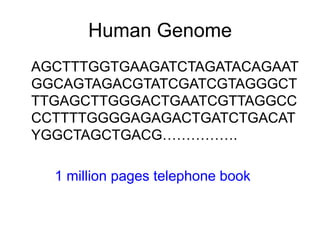 Human Genome
AGCTTTGGTGAAGATCTAGATACAGAAT
GGCAGTAGACGTATCGATCGTAGGGCT
TTGAGCTTGGGACTGAATCGTTAGGCC
CCTTTTGGGGAGAGACTGATCTGACAT
YGGCTAGCTGACG…………….

  1 million pages telephone book
 