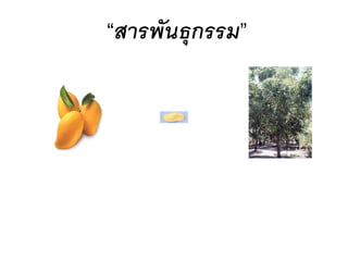 “สารพันธุกรรม”
 