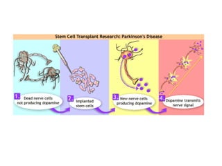 พันธุกรรม