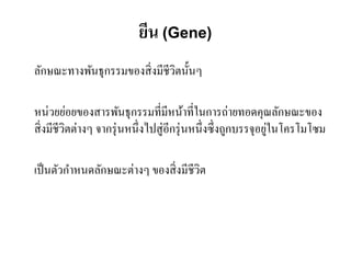ยีน (Gene)
ลักษณะทางพันธุกรรมของสิ่ งมีชีวตนั้นๆ
                               ิ

หน่วยย่อยของสารพันธุกรรมที่มีหน้าที่ในการถ่ายทอดคุณลักษณะของ
สิ่ งมีชีวิตต่างๆ จากรุ่ นหนึ่งไปสู่อีกรุ่ นหนึ่งซึ่งถูกบรรจุอยูในโครโมโซม
                                                                ่

เป็ นตัวกําหนดลักษณะต่างๆ ของสิ่ งมีชีวต
                                       ิ
 