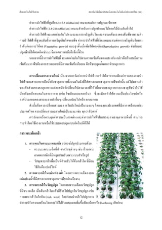 ฝายเทคโนโลยีชีวภาพ                                      สถาบันวิจัยวิทยาศาสตรและเทคโนโลยีแหงประเทศไทย (วว.)


         คาการนําไฟฟาที่สูงคือ (2.5-3.5 mMho/cm) เหมาะสมตอการปลูกมะเขือเทศ
         คาการนําไฟฟา (1.8-2.0 mMho/cm) เหมาะสําหรับการปลูกผักและไมดอกไมประดับทั่วไป
         คาการนําไฟฟาจะแตกตางกันไปตามระยะการเจริญเติบโตและความแข็งแรงของตนพืช เพราะคา
การนําไฟฟาที่สูงจะยับยั้งการเจริญเติบโตของพืช คาการนําไฟฟาที่ต่ําจะเหมาะสมตอการเจริญเติบโตทาง
ลําตนกอนการใหผล (Vegetative growth) และสูงขึ้นเมื่อพืชใหผลผลิต (Reproductive growth) ดังนั้นการ
ปลูกพืชที่ใหผลผลิตเชนมะเขือเทศควรคํานึงถึงขอนี้ดวย
         นอกจากนี้คาการนําไฟฟานี้ จะแตกตางกันไปตามความเขมขนของแสง เชน กลาวคือถาแสงมีความ
เขมขนมาก พืชตองการสารละลายที่มีความเขมขนนอยลง คือพืชจะดูดน้ํามากกวาธาตุอาหาร

        การเปลี่ยนสารละลายใหม เนื่องจากการวัดคาการนําไฟฟา จะทําใหเราทราบเพียงคารวมของการนํา
ไฟฟาของสารอาหารคือน้ํากับธาตุอาหารทั้งหมดในถังที่ใสสารละลายธาตุอาหารพืชเทานั้น แตไมทราบคา
ของสัดสวนของธาตุอาหารแตละชนิดที่เปลี่ยนไปตามเวลาที่ให เนื่องจากธาตุอาหารบางธาตุพืชนําไปใช
นอยจึงเหลือสะสมในสารอาหาร (เชน โซเดียมและคลอรีน) ซึ่งจะมีผลทําใหความเปนประโยชนหรือ
องคประกอบของสารละลายตัวอื่นๆ เปลี่ยนแปลงไปหรือ ตกตะกอน
        ดั งนั้ น จึง ควรเปลี่ ย นสารละลายในถัง ใหม เ ปน ระยะๆ โดยเฉพาะประเทศที่มี อากาศร อ นอยา ง
ประเทศไทย ควรเปลี่ยนสารละลายใหมเปนระยะ เชน ทุก 3 สัปดาห
        การรักษาหรือควบคุมคาความเปนกรดดาง และคาการนําไฟฟาในสารละลายธาตุอาหารพืชนี้ สามารถ
กระทําโดยใชแรงงานหรือใชระบบควบคุมแบบอัตโนมัติก็ได

การเพาะตนกลา

      1. การเพาะในกระบะเพาะกลา อุปกรณปลูกประกอบดวย
         - กระบะเพาะเมล็ดที่ทําจากวัสดุตางๆ เชน ถวยเพาะ
             ถาดพลาสติกที่มีหลุมสําหรับเพาะแบบสําเร็จรูป
         - วัสดุเพาะกลาเพื่อเปนที่สําหรับใหตนกลาโต ที่นิยม
             ใชกันคือ เปอรไลท
      2. การเพาะกลาในแผนฟองน้ํา โดยการเพาะเมล็ดลงบน
แผนฟองน้ําที่มีสารละลายธาตุอาหารพืชอยางเจือจาง
      3. การเพาะกลาในวัสดุปลูก โดยการเพาะเมล็ดลงวัสดุปลูก
ที่มีขนาดเล็ก เมื่อตนกลาโตแลวก็ยายไปปลูกในวัสดุปลูก เชน
การเพาะกลาในใยหิน (rock wool) โดยกอนนํากลาไปปลูกควร
ทําการปรับความพรอมโดยการใหไดรบแสงแดดเพิ่มขึ้นทีละนอยหรือ Hardening เสียกอน
                                     ั


                                                 12
 