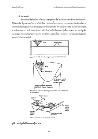 ฝายเทคโนโลยีชีวภาพ                                    สถาบันวิจัยวิทยาศาสตรและเทคโนโลยีแหงประเทศไทย (วว.)



        1.2 Aeroponics
            เปนการปลูกพืชโดยมีการใหสารละลายธาตุอาหารพืช ในรูปของการพนเปนหมอกหรือละออง
ไปยังรากพืช ที่ถูกแขวนอยูในอากาศในที่มืด ความบอยครั้งและความยาวนานของการฉีดแตละครั้ง อาจ
แตกตางกันไปตามชนิดพืชและสภาพบรรยากาศที่หอหุมรากพืช เชน อาจมีการฉีดสารละลายธาตุอาหารพืช
3 นาที และหยุด 1-2 นาที โดยการตั้งเวลา เพื่อใหภายในหองมืดคงความชุมชื้น 95-100% RH การปลูกพืช
เทคนิคนี้มักใชศึกษาเกี่ยวกับสรีรวิทยาของพืช ขอดีของระบบนี้คือ รากแพรกระจายไดดีเพราะไมมีสิ่งกีด
ขวางและไดรับอากาศเต็มที่




รูปที่ 2 การปลูกพืชใหรากลอยอยูในอากาศ


                                                16
 