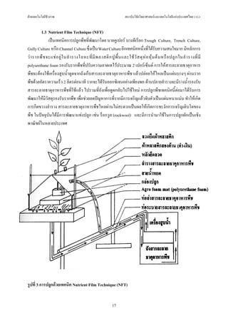 ฝายเทคโนโลยีชีวภาพ                                                   สถาบันวิจัยวิทยาศาสตรและเทคโนโลยีแหงประเทศไทย (วว.)


         1.3 Nutrient Film Technique (NFT)
              เปนเทคนิคการปลูกพืชที่พัฒนาโดย นายคูเปอร บางทีเรียก Trough Culture, Trench Culture,
Gully Culture หรือ Channel Culture ซึ่งเปน Water Culture อีกเทคนิคหนึ่งที่ไดรับความสนใจมาก มีหลักการ
ว า รากพื ช จะแช อ ยู ใ นลํ า รางโลหะที่ มี พ ลาสติ ก ปู พื้ น และใช วั ส ดุ ห อ หุ ม ต น หรื อ ปลู ก ในลํ า รางที่ มี
polyurethane foam รองรับรากพืชที่ปรับความลาดเทไวประมาณ 2 เปอรเซ็นต การใหสารละลายธาตุอาหาร
พืชจะตองใชเครื่องสูบน้ําดูดจากถังเก็บสารละลายธาตุอาหารพืช แลวปลอยใหไหลเปนแผนบางๆ ผานราก
พืชดวยอัตราความเร็ว 2 ลิตรตอนาที รากจะไดรับออกซิเจนอยางเพียงพอ ดานปลายลํารางจะมีรางน้ํารองรับ
สารละลายธาตุอาหารพืชที่ใชแลว ไปรวมที่ถังเพื่อดูดกลับไปใชใหม การปลูกพืชเทคนิคนี้ตอมาไดรับการ
พัฒนาใหมีวัสดุรองรับรากพืช เพื่อชวยลดปญหาการที่รากมีการเจริญแลวจับตัวเปนแผนหนาแนน ทําใหเกิด
การกีดขวางลําราง สารละลายธาตุอาหารพืชไหลผานไมสะดวกเปนผลใหเกิดการชะงักการเจริญเติบโตของ
พืช ในปจจุบันไดมีการพัฒนาแทงปลูก เชน ร็อกวูล (rockwool) และมีการนํามาใชในการปลูกผักเปนเชิง
พาณิชยในหลายประเทศ




รูปที่ 3 การปลูกดวยเทคนิค Nutrient Film Technique (NFT)


                                                             17
 