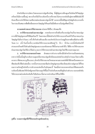 ฝายเทคโนโลยีชีวภาพ                                      สถาบันวิจัยวิทยาศาสตรและเทคโนโลยีแหงประเทศไทย (วว.)


        สําหรับขอควรระมัดระวังของแบบการปลูกดวยวัสดุ ซึ่งผูปลูกควรตองดูแลไมปลอยใหวัสดุปลูก
แหงจนไมมีความชื้นอยู เพราะถาแหงถึงในระดับหนึ่งรากก็อาจจะไมสามารถกลับคืนสูสภาพที่ดีดังเดิมได
อันจะเปนการกอใหเกิดความเสียหายตอแปลงเพาะปลูกนั้นได นอกจากนี้ยังมีปญหาสําคัญอีกประการหนึ่ง
ในการจะเก็บเศษรากพืชที่เหลือออกจากวัสดุปลูกใหหมดไปเมื่อตองการเริ่มปลูกพืชครั้งใหม

         ความแตกตางของการใหสารละลาย แบงออกไดเปน 2 ลักษณะคือ
         1. การใหสารละลายทวมภาชนะปลูก ภายหลังจากการยายตนกลามาลงปลูกใหมในภาชนะปลูก
ถาวรที่มีวัสดุปลูกตามที่ไดจัดเตรียมไว โดยภาชนะนี้มีทอสําหรับใหสารละลายไหลเขาไปในภาชนะทวม
วัสดุปลูกไมตํากวาวันละ 2 ครั้ง คือในชวงเชาและเย็น และสําหรับในระหวางฤดูรอนอาจตองเพิ่มจํานวนขึ้น
              ่
วันละ 3-4 ครั้ง ในครั้งหนึ่งๆ จะปลอยใหสารละลายแชขังอยู ½ ถึง 1 ชั่วโมง จากนั้นจึงปลอยให
สารละลายไหลเขาไปทวมยังวัสดุปลูกและระบบกลับออกมาไดนั้นสามารถทําได 2 วิธีคือ การใหสารละลาย
ทวมภาชนะปลูกโดยใชแรงโนมถวง และการใหสารละลายทวมภาชนะปลูกโดยใชระบบควบคุมเวลา
         2. การใหสารละลายแบบน้ําหยด ลักษณะการทํางาน จะตองมีถังสําหรับการเตรียมผสมธาตุ
อาหาร ถังนี้จะตั้งอยูในระดับความสูงเหนือภาชนะปลูกเล็กนอยและตอทอในระดับต่ํากวาลงมาโดยวางเปน
แนวยาว ที่ทอจะเจาะรูเปนระยะๆ สําหรับใหสารละลายไหลลงมาตามธรรมชาติเพื่อใชจายหรือหยดลงราก
พืชแตละตนไดอยางตอเนื่อง จากนั้นสารละลายจะซึมผานวัสดุปลูกลงมาทีละนอยมายังรางปลูกและไดไหล
ลงมารวมกันอยูในถังเก็บ การทํางานจะตอเนื่องในลักษณะนี้ โดยเมื่อสารละลายจากถังบนไดลดลงจนถึง
ระดับหนึ่งเพียงพอใหสวิตชลูกลอยไปควบคุมใหปมน้ําในถังเก็บสะสมที่อยูอันลางทํางาน และจะผลักดัน
ใหสารละลายผานทอสงกลับคืนไปยังถังบน ซึ่งสามารถนํากลับมาใชใหมไดอีก




รูปที่ 6 ระบบการปลูกพืชไรดินแบบประยุกตแบบตางๆ


                                                 20
 