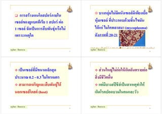 การสรางเอนโดสปอรภายใน                        บางกลุมไมมีผนังเซลลมีเพียงเยื่อ
     เซลลของยูแบคทีเรีย 1 สปอร ตอ               หุมเซลล ที่ประกอบดวยชิ้นไขมัน
     1 เซลล จัดเปนการสืบพันธุหรือไม            ไดแก ไมโคพลาสมา (mycoplasma)
     เพราะเหตุใด                                   ดังภาพที่ 20-21

                                               http      dspace lib uoguelph ca bitstream 102
ครูกัลยา สีดอกบวบ                         57
                                               ครูกัลยา สีดอกบวบ                            58




      เปนเซลลที่มีขนาดเล็กสุด                        สวนใหญไมกอใหเกิดอันตรายตอ
    ประมาณ 0.2 - 0.3 ไมโครเมตร                     สิ่งมีชีวิตอื่น
      สามารถเจริญและสืบพันธุได                       แตมีบางสปชีสเปนสาเหตุทําให
    นอกเซลลโฮสต (host)                           เกิดโรคปอดบวมในคนและวัว

ครูกัลยา สีดอกบวบ                         59
                                               ครูกัลยา สีดอกบวบ                            60
 
