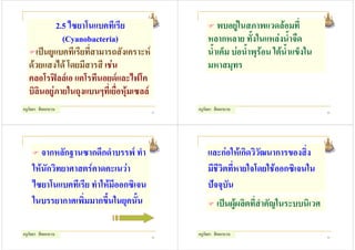 2.5 ไซยาโนแบคทีเรีย                          พบอยูในสภาพแวดลอมที่
              (Cyanobacteria)                        หลากหลาย ทั้งในแหลงน้ําจืด
     เปนยูแบคทีเรียที่สามารถสังเคราะห              น้ําเค็ม บอน้ําพุรอน ใตน้ําแข็งใน
   ดวยแสงได โดยมีสารสี เชน                        มหาสมุทร
   คลอโรฟลลเอ แคโรทีนอยดและไฟโค
   บิลินอยูภายในถุงแบนๆที่เยื่อหุมเซลล
ครูกัลยา สีดอกบวบ                           61
                                                 ครูกัลยา สีดอกบวบ                          62




       จากหลักฐานซากดึกดําบรรพ ทํา                  และกอใหเกิดวิวัฒนาการของสิ่ง
    ใหนักวิทยาศาสตรคาดคะเนวา                      มีชีวิตที่หายใจโดยใชออกซิเจนใน
    ไซยาโนแบคทีเรีย ทําใหมีออกซิเจน                 ปจจุบนั
    ในบรรยากาศเพิ่มมากขึ้นในยุคนั้น                       เปนผูผลิตที่สําคัญในระบบนิเวศ

ครูกัลยา สีดอกบวบ                           63
                                                 ครูกัลยา สีดอกบวบ                          64
 