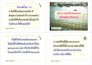 ดังภาพที่ 20 – 13
        สิ่งมีชีวิตแตละอาณาจักร มี
                                                          20.4.1 อาณาจักรมอเนอรา
     ลักษณะรวมกันอยางไร และแตกตาง                        (Kingdom Monera)
     จากสิ่งมีชีวตในอาณาจักรอื่นอยางไร
                   ิ
     นักเรียนจะไดศกษาตอไป
                       ึ
ครูกัลยา สีดอกบวบ                         13
                                               ครูกัลยา สีดอกบวบ                       14




       สิ่งมีชีวิตในอาณาจักรมอเนอรา
                                                     แบคทีเรียที่รูจัก และสามารถ
   คือสิ่งมีชีวิตที่มีเซลลแบบโพรคาริโอต
                                                  จําแนกสปสไดประมาณ 5,000 สปชีส
   (procaryotic cell) หรือเรียกสิ่งมีชวิต
                                      ี
                                                  (นักวิทยาศาสตรประมาณวานาจะ
   ในอาณาจักรนี้วา แบคทีเรีย (bacteria)
                                                  มากถึง 4 ลาน สปชีส)
ครูกัลยา สีดอกบวบ                         15
                                               ครูกัลยา สีดอกบวบ                       16
 