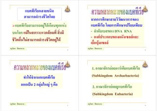 แบคทีเรียหลายชนิด
                สามารถดํารงชีวิตโดย              จากการศึกษาสายวิวัฒนาการของ
    แบคทีเรียสามารถอยูไดเกือบทุกแหง           แบคทีเรีย โดยการศึกษาเปรียบเทียบ
  บนโลก แมในสภาวะแวดลอมที่ สิ่งมี              - ลําดับเบสของ DNA RNA
                                                 - องคประกอบของผนังเซลลและ
  ชีวิตอื่นไมสามารถดํารงชีวิตอยูได
                                                 เยื่อหุมเซลล
ครูกัลยา สีดอกบวบ                        29
                                              ครูกัลยา สีดอกบวบ                      30




                                                  1. อาณาจักรยอยอารเคียแบคทีเรีย
             ทําใหจําแนกแบคทีเรีย                (Subkingdom Archaebacteria)
            ออกเปน 2 กลุมใหญ ๆ คือ              2. อาณาจักรยอยยูแบคทีเรีย
                                                   (Subkingdom Eubacteria)
ครูกัลยา สีดอกบวบ                        31
                                              ครูกัลยา สีดอกบวบ                      32
 