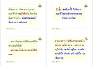 เนื่องจากการจัดหมวดหมูของ                      ดังนั้น บทเรียนนี้จงไดจาแนก
                                                                       ึ ํ
    แบคทีเรียในระดับไฟลัม คอนขาง                  แบคทีเรียออกเปนกลุมตามสาย
    ยุงยากซับซอน ตองอาศัยความรู                         วิวัฒนาการดังนี้
    ดานอื่นมาชวยอีกมาก
ครูกัลยา สีดอกบวบ                       33
                                             ครูกัลยา สีดอกบวบ                            34




    1. อาณาจักรยอยอารเคีย แบคทีเรีย           - สามารถดํารงชีวิตในสภาพแวดลอม
    เปนแบคทีเรียที่                              ที่สิ่งมีชีวิตอื่นไมสามารถดํารงชีวิต
      - ผนังเซลลไมมีสารเพปทิโดไกล               อยูได เชน แหลงน้ําพุรอน ทะเลลึก
    แคน                                           ทะเลที่มีน้ําเค็มจัด บริเวณที่มีความ
                                                  เปนกรดสูง
ครูกัลยา สีดอกบวบ                       35
                                             ครูกัลยา สีดอกบวบ                            36
 