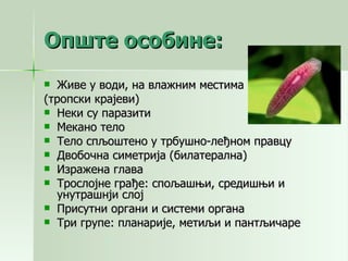 Опште особине: Живе у води, на влажним местима (тропски крајеви) Неки су паразити Мекано тело Тело спљоштено у трбушно-леђном правцу Двобочна симетрија (билатерална) Изражена глава Трослојне грађе: спољашњи, средишњи и унутрашнји слој Присутни органи и системи органа Три групе: планарије, метиљи и пантљичаре 