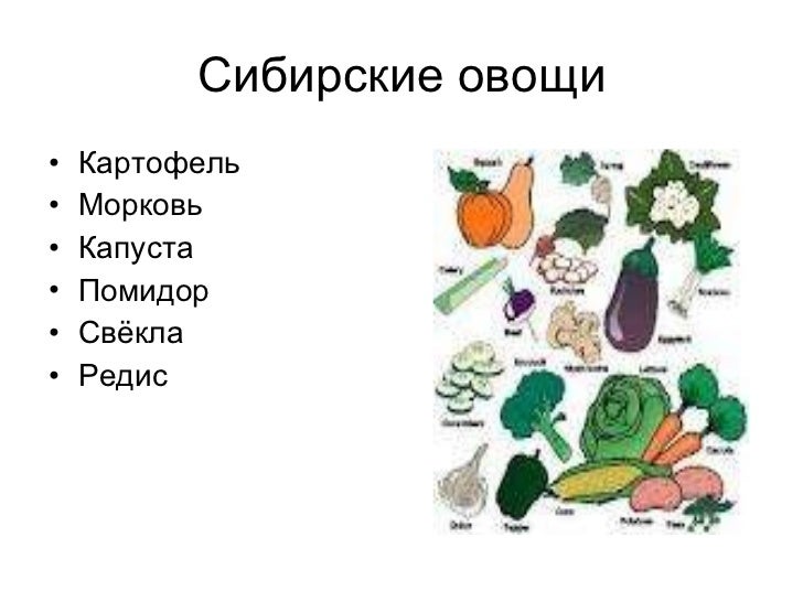 Схема слова урожай. Сибирские овощи. Нарезка лук, морковь, картофель, капуста. Картошка морковка капуста. Овощи картошка морковь.