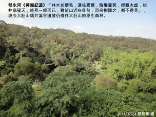 郁永河《裨海紀遊》「林木如蝟毛，連枝累葉，陰嫛晝​冥，仰觀太虛，如
井底窺天，時見一規而已，雖前山近在目​前，而密樹障之，都不得見」，
現今大肚山瑞井溪谷邊坡仍​殘存大肚山的原生森林。




                                     3
                         2011/07/24 蔡智豪 攝
 