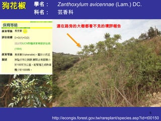 狗花椒   學名：     Zanthoxylum avicennae (Lam.) DC.
      科名：     芸香科

              連在路旁的大樹都看不見的環評報告




                                                                  5
            http://econgis.forest.gov.tw/rareplant/species.asp?id=t00150
 