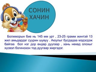 Болжморын бие нь 145 мм урт , 23-25 грамм жинтэй 13
жил амьдардаг суурин шувуу . Аюулыг бусдадаа мэдэгдэж
байгаа бол нэг дор өндөр дуугаар , хань нөхөд олохыг
хүсвэл богинохон тод дуугаар жиргэдэг.
 