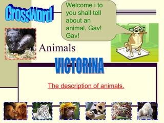 Animals The description of animals . Welcome i  to you shall tell about an animal.  Gav! Gav! Crossword VICTORINA 