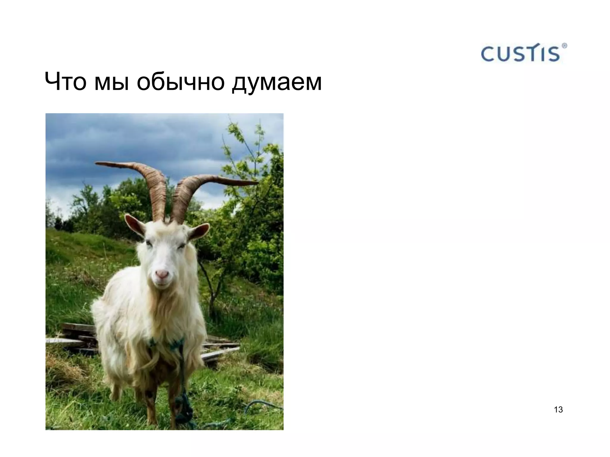 Что мы обычно думаем




                       13
 