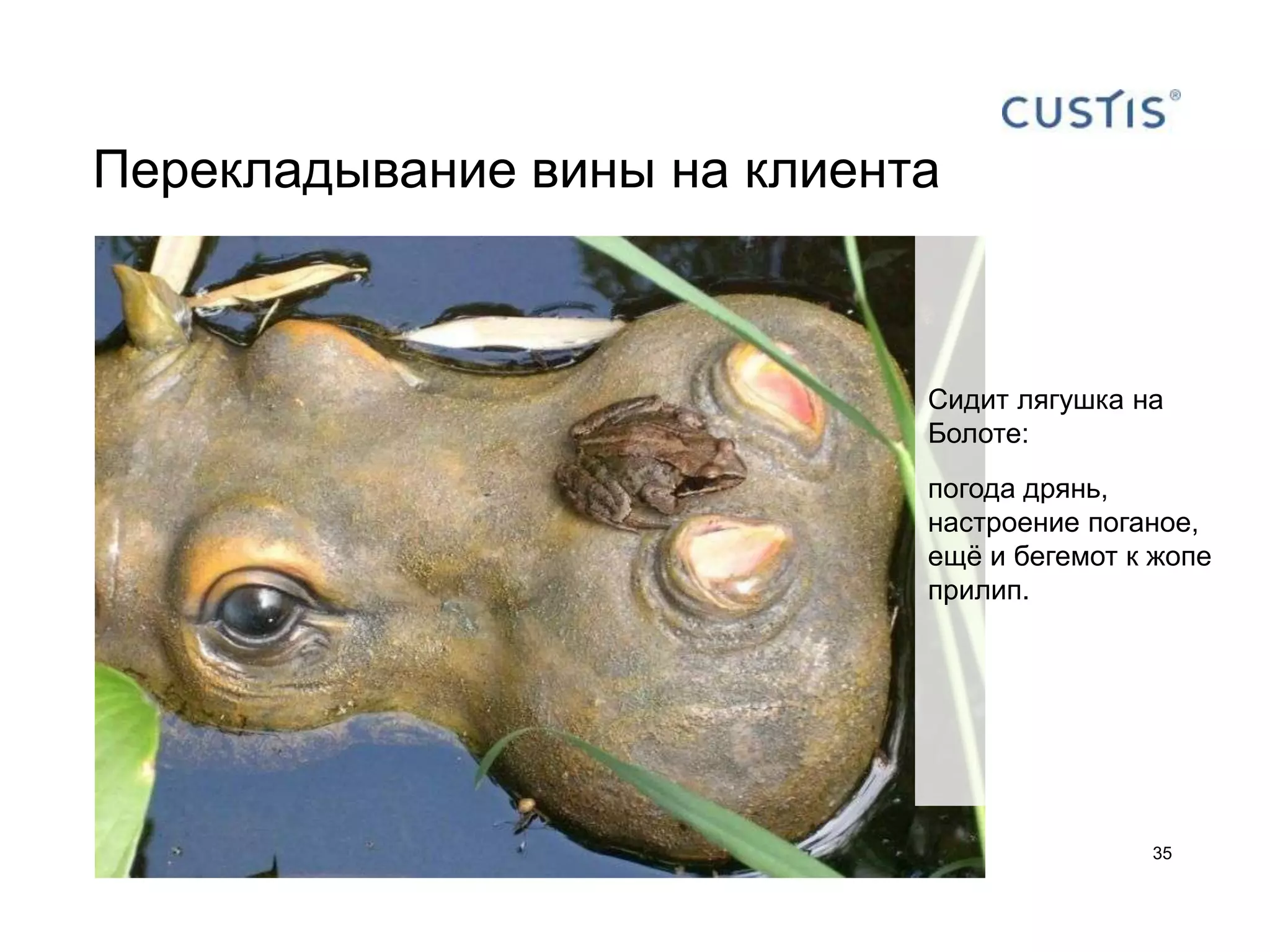 Перекладывание вины на клиента



                             Сидит лягушка на
                             Болоте:
                             погода дрянь,
                             настроение поганое,
                             ещѐ и бегемот к жопе
                             прилип.




                                            35
 