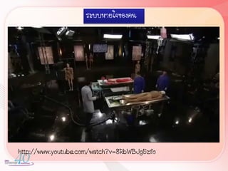 ระบบหายใจของคน




http://www.youtube.com/watch?v=8RbWBJg5zfo
 