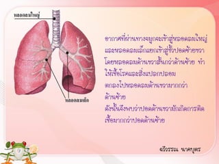 อากาศที่ผ่านทางจมูกจะเข้าสู่หลอดลมใหญ่
และหลอดลมเล็กแยกเข้าสู่ขั้วปอดซ้ายขวา
โดยหลอดลมด้านขวาสั้นกว่าด้านซ้าย ท้า
ให้เชื้อโรคและสิ่งแปลกปลอม
ตกลงไปหลอดลมด้านขวามากกว่า
ด้านซ้าย
ดังนั้นจึงพบว่าปอดด้านขวามักเกิดการติด
เชื้อมากกว่าปอดด้านซ้าย

                    ฉวีวรรณ นาคบุตร
 