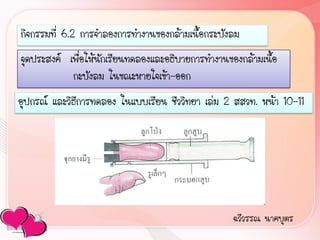กิจกรรมที่ 6.2 การจ้าลองการท้างานของกล้ามเนื้อกระบังลม
จุดประสงค์ เพื่อให้นักเรียนทดลองและอธิบายการท้างานของกล้ามเนื้อ
            กะบังลม ในขณะหายใจเข้า-ออก
อุปกรณ์ และวิธีการทดลอง ในแบบเรียน ชีววิทยา เล่ม 2 สสวท. หน้า 10-11




                                                    ฉวีวรรณ นาคบุตร
 