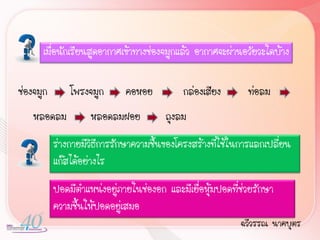 เมื่อนักเรียนสูดอากาศเข้าทางช่องจมูกแล้ว อากาศจะผ่านอวัยวะใดบ้าง

ช่องจมูก       โพรงจมูก       คอหอย          กล่องเสียง       ท่อลม
    หลอดลม          หลอดลมฝอย           ถุงลม
           ร่างกายมีวิธีการรักษาความชื้นของโครงสร้างที่ใช้ในการแลกเปลี่ยน
           แก๊สได้อย่างไร
           ปอดมีต้าแหน่งอยู่ภายในช่องอก และมีเยื่อหุ้มปอดที่ช่วยรักษา
           ความชื้นให้ปอดอยู่เสมอ
                                                            ฉวีวรรณ นาคบุตร
 