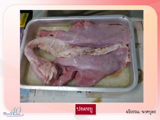 ปอดหมู   ฉวีวรรณ นาคบุตร
 