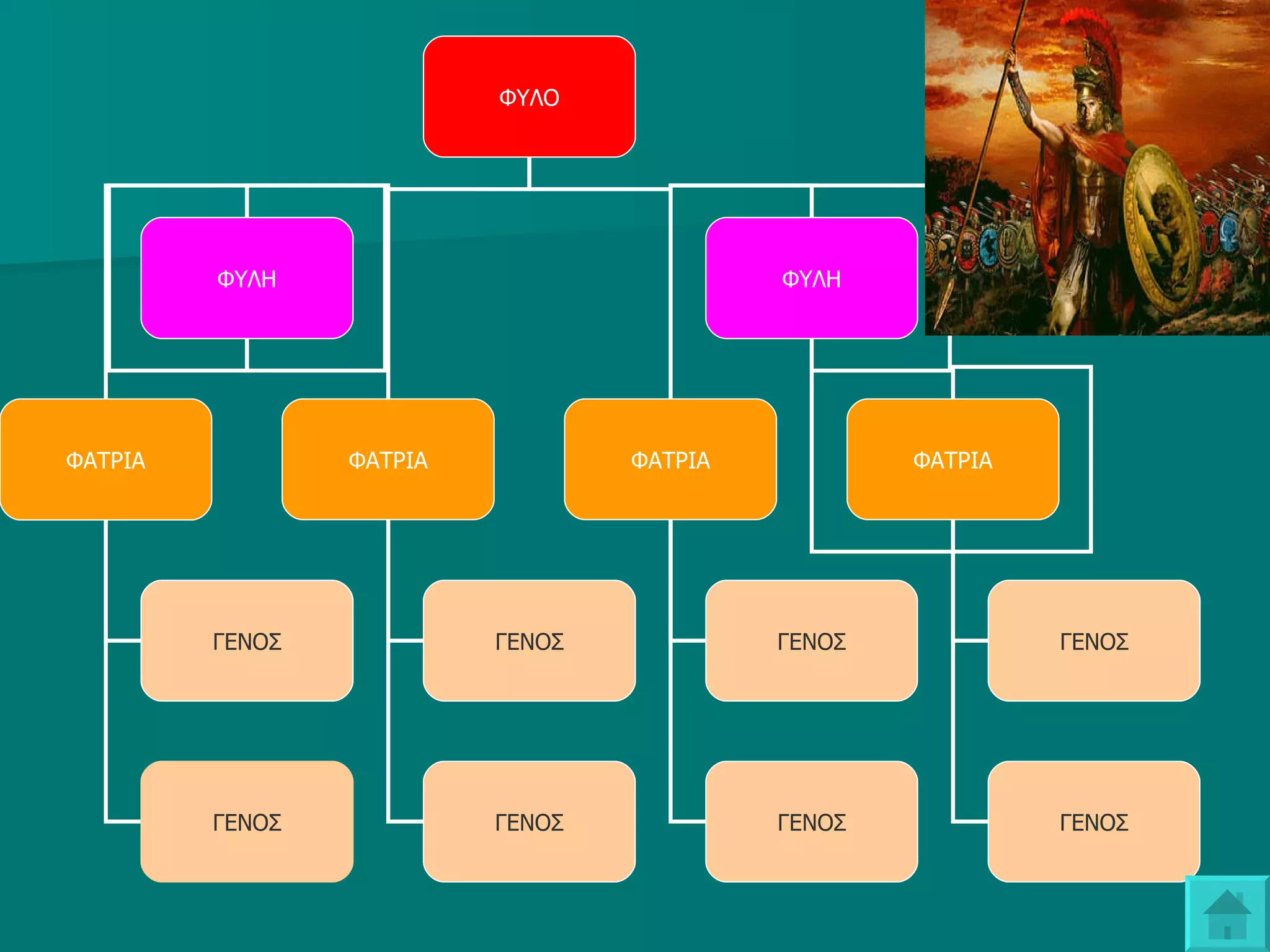 ΦΥΛΟ ΦΥΛΗ ΦΥΛΗ ΦΑΤΡΙΑ ΦΑΤΡΙΑ ΦΑΤΡΙΑ ΦΑΤΡΙΑ ΓΕΝΟΣ ΓΕΝΟΣ ΓΕΝΟΣ ΓΕΝΟΣ ΓΕΝΟΣ ΓΕΝΟΣ ΓΕΝΟΣ ΓΕΝΟΣ 