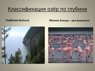 Классификация озёр по глубине
Глубокие (Байкал)   Мелкие (Накуру – дом фламинго)
 