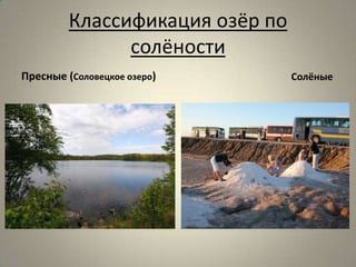 Классификация озёр по
               солёности
Пресные (Соловецкое озеро)       Солёные
 