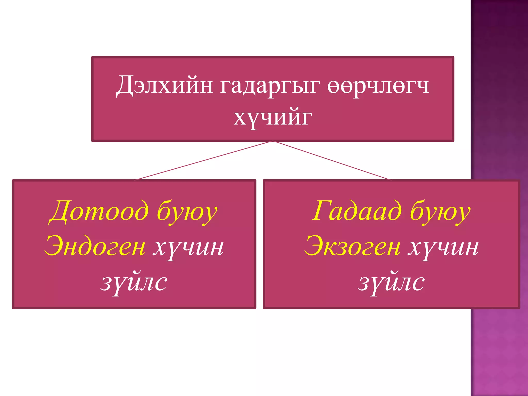 Дэлхийн гадаргыг өөрчлөгч
              хүчийг


Дотоод буюу        Гадаад буюу
Эндоген хүчин      Экзоген хүчин
    зүйлс              зүйлс
 