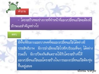 คาถาม

    - โครงสร้างของร่างกายที่ทาหน้าที่แลกเปลียนแก๊สจะต้องมี
                                            ่
ลักษณะสาคัญอย่างไร
ตอบ
      มีพื้นที่ผิวมากและบางพอที่จะแลกเปลี่ยนแก๊สได้อย่างมี
      ประสิทธิภาพ มีการลาเลียงแก๊สไปยังบริเวณอื่นๆ ได้อย่าง
      รวดเร็ว มีการป้องกันอันตรายให้กับโครงสร้างที่ใช้
      แลกเปลี่ยนแก๊สและโครงสร้างในการแลกเปลี่ยนแก๊สต้องชุ่ม
      ชื้นอยู่เสมอ
                                                ฉวีวรรณ นาคบุตร
 