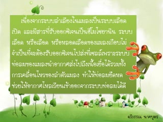 เนื่องจากระบบลาเลียงในแมลงเป็นระบบเลือด
เปิด และมีสารที่รับออกซิเจนเป็นฮีโมไซยานิน ระบบ
เลือด หรือเลือด หรือหลอดเลือดของแมลงเกือบไม่
จาเป็นที่จะต้องรับออกซิเจนไปส่งที่เซลล์เพราะระบบ
ท่อลมของแมลงนาอากาศส่งไปถึงเนื้อเยื่อได้รวมทั้ง
การเคลื่อนไหวของลาตัวแมลง ทาให้ท่อลมยืดหด
ช่วยให้อากาศไหลเวียนเข้าออกจากระบบท่อลมได้ดี


                                              ฉวีวรรณ นาคบุตร
 