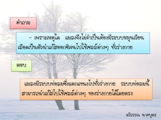 คาถาม
     - เพราะเหตุใด แมลงจึงไม่จาเป็นต้องมีระบบหมุนเวียน
เลือดเป็นตัวนาแก๊สออกซิเจนไปใช้เซลล์ต่างๆ ทั่วร่างกาย

ตอบ

  แมลงมีระบบท่อลมซึ่งแตกแขนงไปทั่วร่างกาย ระบบท่อลมนี้
 สามารถนาแก๊สไปใช้เซลล์ต่างๆ ของร่างกายได้โดยตรง

                                              ฉวีวรรณ นาคบุตร
 