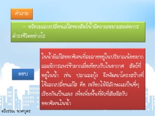 คาถาม
         - อวัยวะแลกเปลี่ยนแก๊สของสัตว์น้ามีความเหมาะสมต่อการ
     ดารงชีวิตอย่างไร

                  ในน้ามีแก๊สออกซิเจนที่ละลายอยู่ในปริมาณน้อยมาก
                  และมีการแพร่ช้ามากเมื่อเทียบกับในอากาศ สัตว์ที่
        ตอบ       อยู่ในน้า เช่น ปลาและกุ้ง จึงพัฒนาโครงสร้างที่
                  ใช้แลกเปลี่ยนแก๊ส คือ เหงือกให้มีลักษณะเป็นซี่ๆ
                  เรียงกันเป็นแผง เพื่อเพิ่มพื้นที่ผิวที่สัมผัสกับ
                  ออกซิเจนในน้า
ฉวีวรรณ นาคบุตร
 